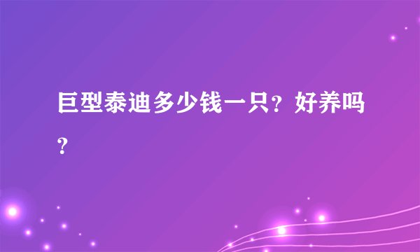 巨型泰迪多少钱一只？好养吗？