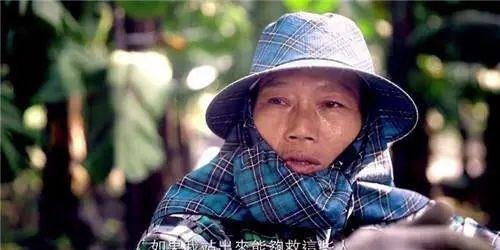 玫瑰少年:玫瑰不一定长成松柏,心之所向就是正确的方向!