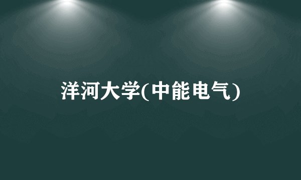 洋河大学(中能电气)