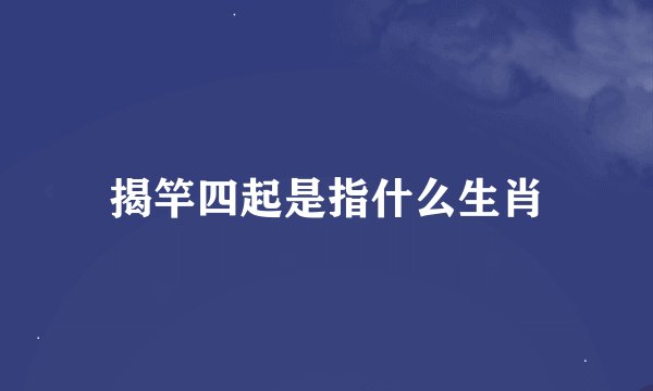揭竿四起是指什么生肖