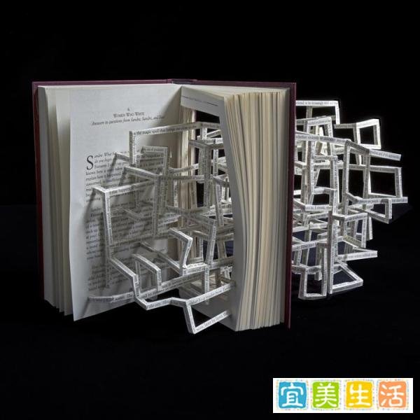 眼看书中起高楼