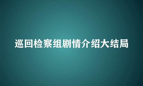 巡回检察组剧情介绍大结局