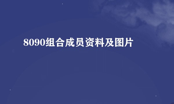 8090组合成员资料及图片