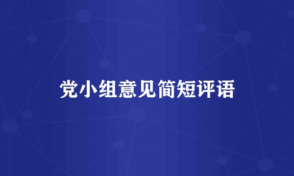 党小组意见简短评语