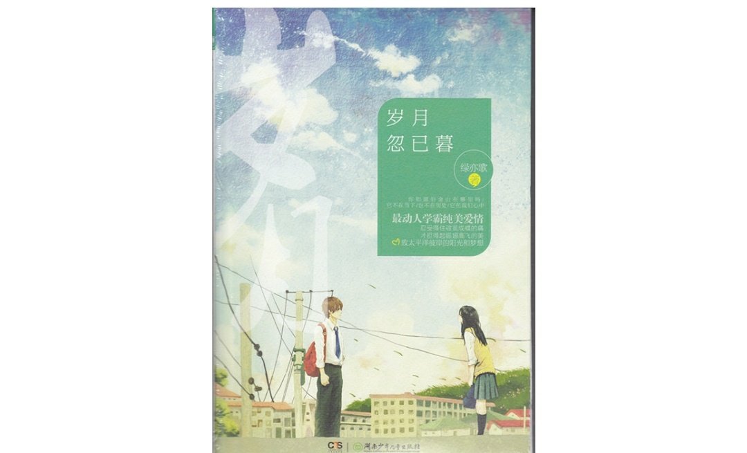岁月忽已暮大结局 要详细