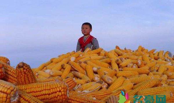玉米男孩事件是什么病 在吃饭前不能看会极度引起你的不适
