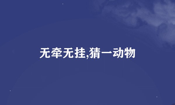 无牵无挂,猜一动物