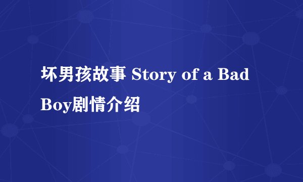 坏男孩故事 Story of a Bad Boy剧情介绍