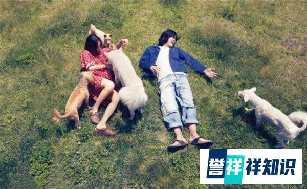 她是21世纪第一个十年里，韩国当之无愧的第一女solo，唱跳女王，性感舞后！