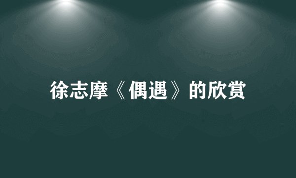 徐志摩《偶遇》的欣赏