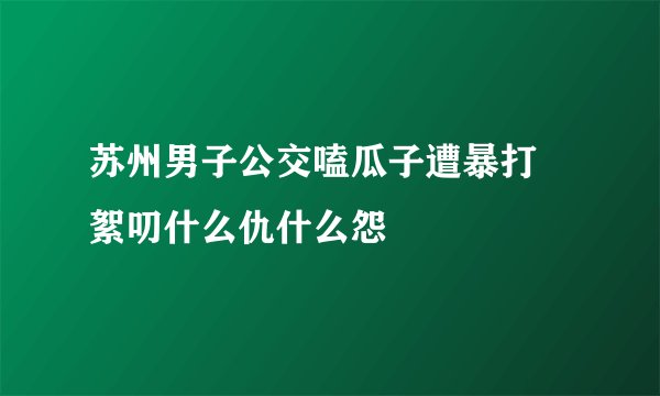 苏州男子公交嗑瓜子遭暴打 絮叨什么仇什么怨