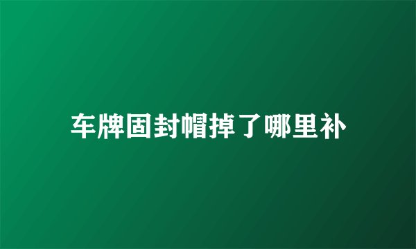 车牌固封帽掉了哪里补