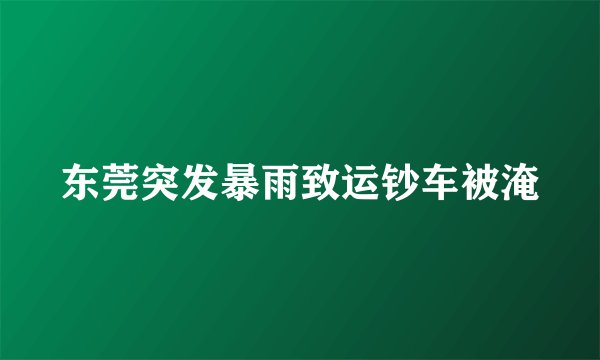 东莞突发暴雨致运钞车被淹