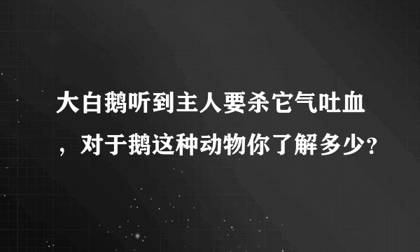 大白鹅听到主人要杀它气吐血，对于鹅这种动物你了解多少？
