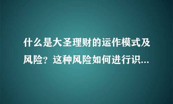 什么是大圣理财的运作模式及风险？这种风险如何进行识别和控制？
