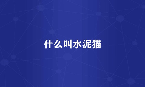 什么叫水泥猫