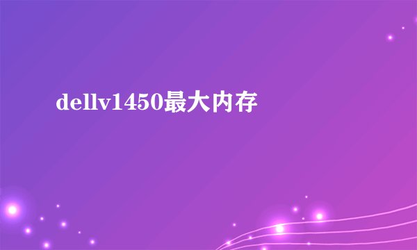 dellv1450最大内存