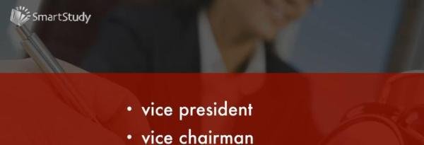 vice是什么意思