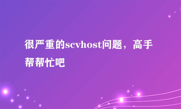 很严重的scvhost问题，高手帮帮忙吧
