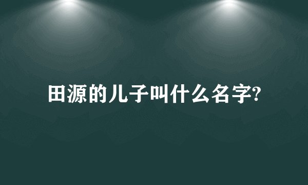 田源的儿子叫什么名字?