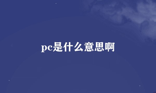 pc是什么意思啊