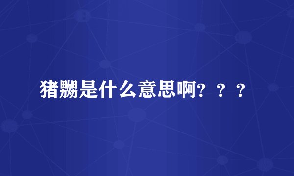 猪嬲是什么意思啊？？？
