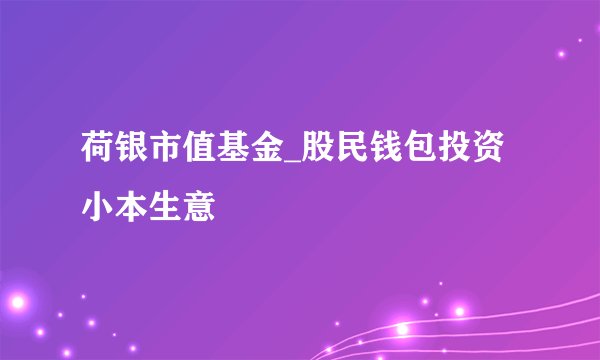 荷银市值基金_股民钱包投资小本生意