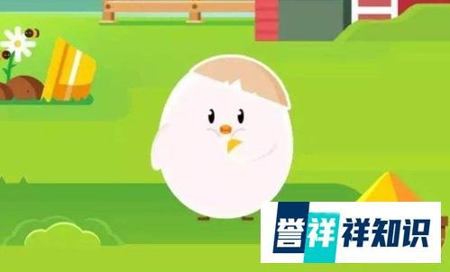 游泳时耳朵进水，下列哪种“排水”方式更安全 ?蚂蚁庄园最新答案