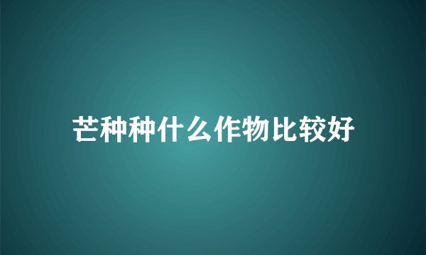 芒种种什么作物比较好