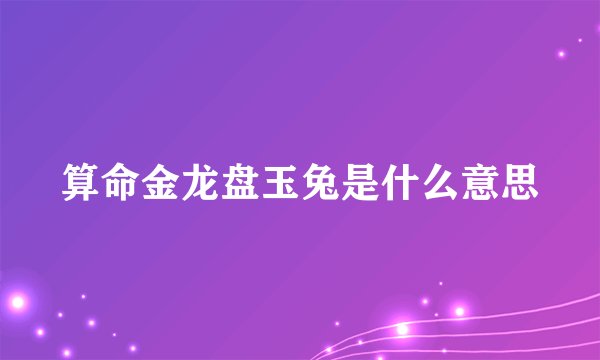 算命金龙盘玉兔是什么意思