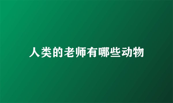 人类的老师有哪些动物
