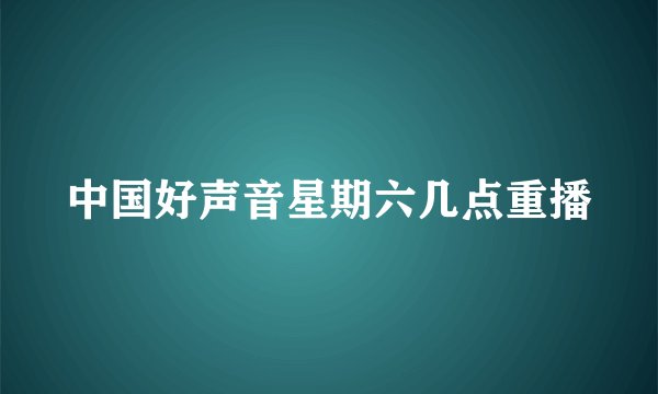 中国好声音星期六几点重播