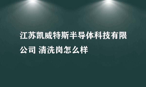 江苏凯威特斯半导体科技有限公司 清洗岗怎么样