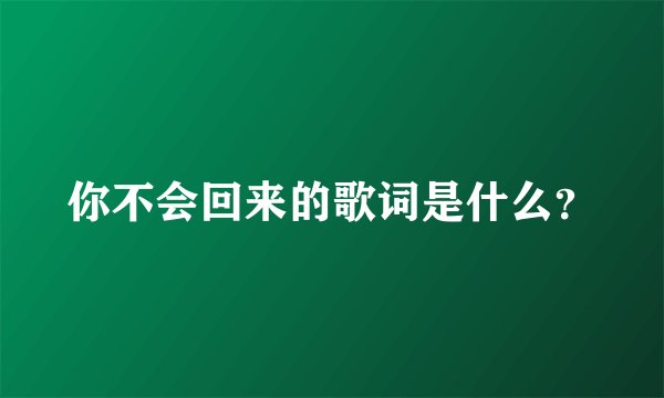 你不会回来的歌词是什么？