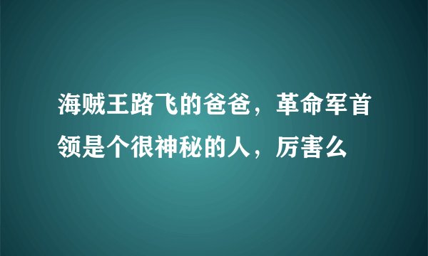 海贼王路飞的爸爸，革命军首领是个很神秘的人，厉害么
