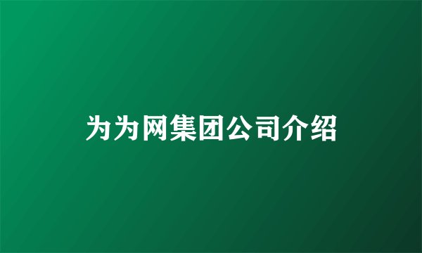 为为网集团公司介绍