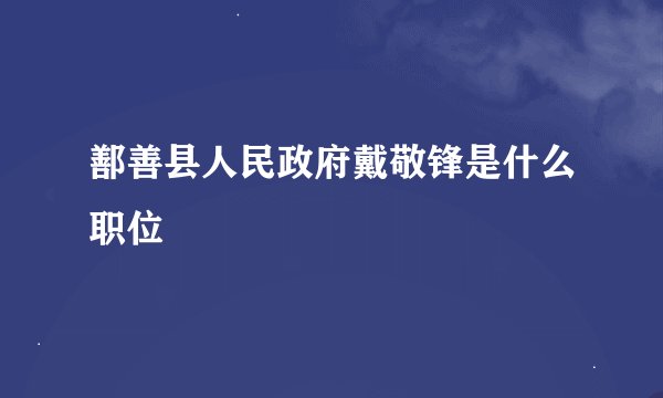 鄯善县人民政府戴敬锋是什么职位