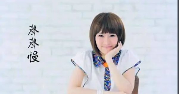 《声声慢》这首歌曲主要表达了什么样的情感？