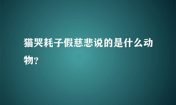猫哭耗子假慈悲说的是什么动物？