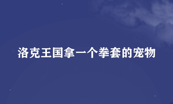 洛克王国拿一个拳套的宠物