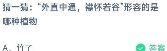 外直中通襟怀若谷形容的是哪种植物