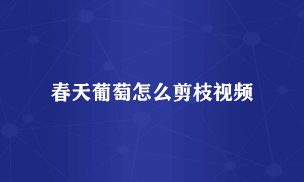 春天葡萄怎么剪枝视频