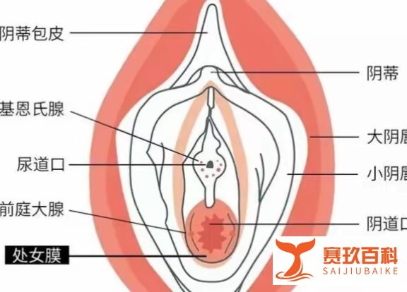 第一次怎么找对位置?