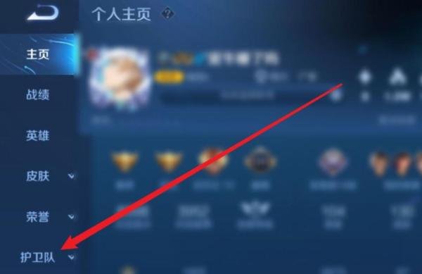 鹰眼护卫队怎么加入