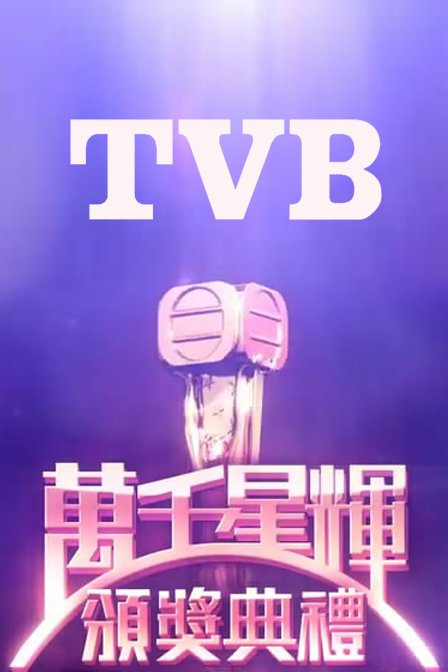 万千星辉颁奖典礼2012的提名名单
