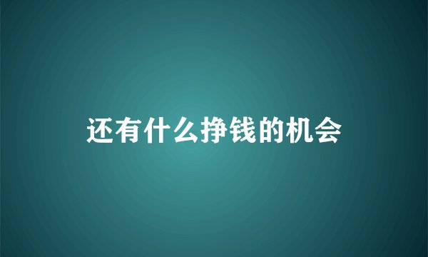 还有什么挣钱的机会