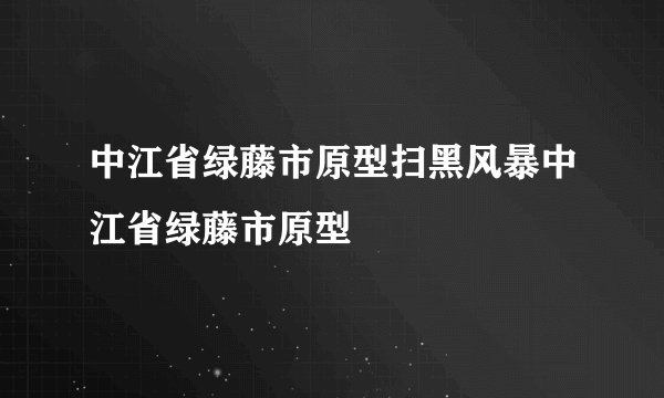 中江省绿藤市原型扫黑风暴中江省绿藤市原型