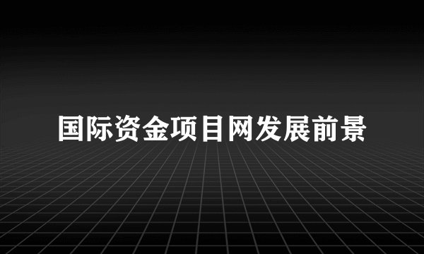 国际资金项目网发展前景