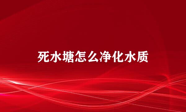 死水塘怎么净化水质