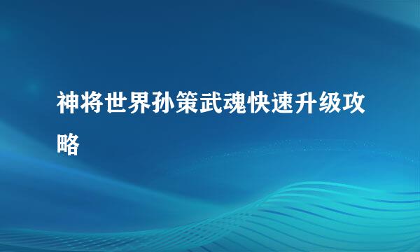 神将世界孙策武魂快速升级攻略